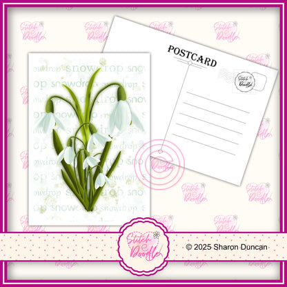 A5 Art Print/Postcard 6 Piece Collection - Pretty Paintbox Petals Set 1