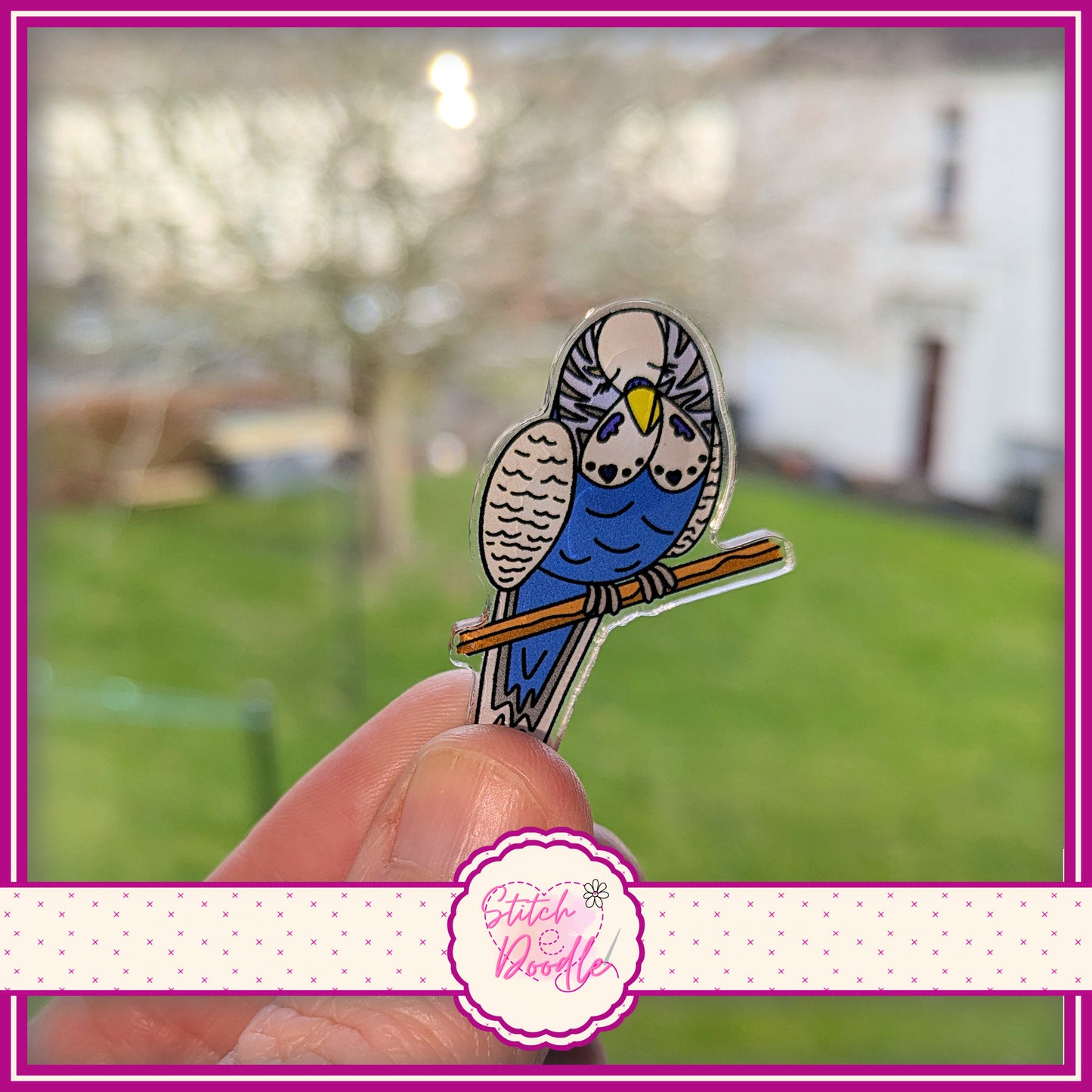 Blue Budgie Collectable Acrylic Pin - Adorn sweaters, scarves, bags and more