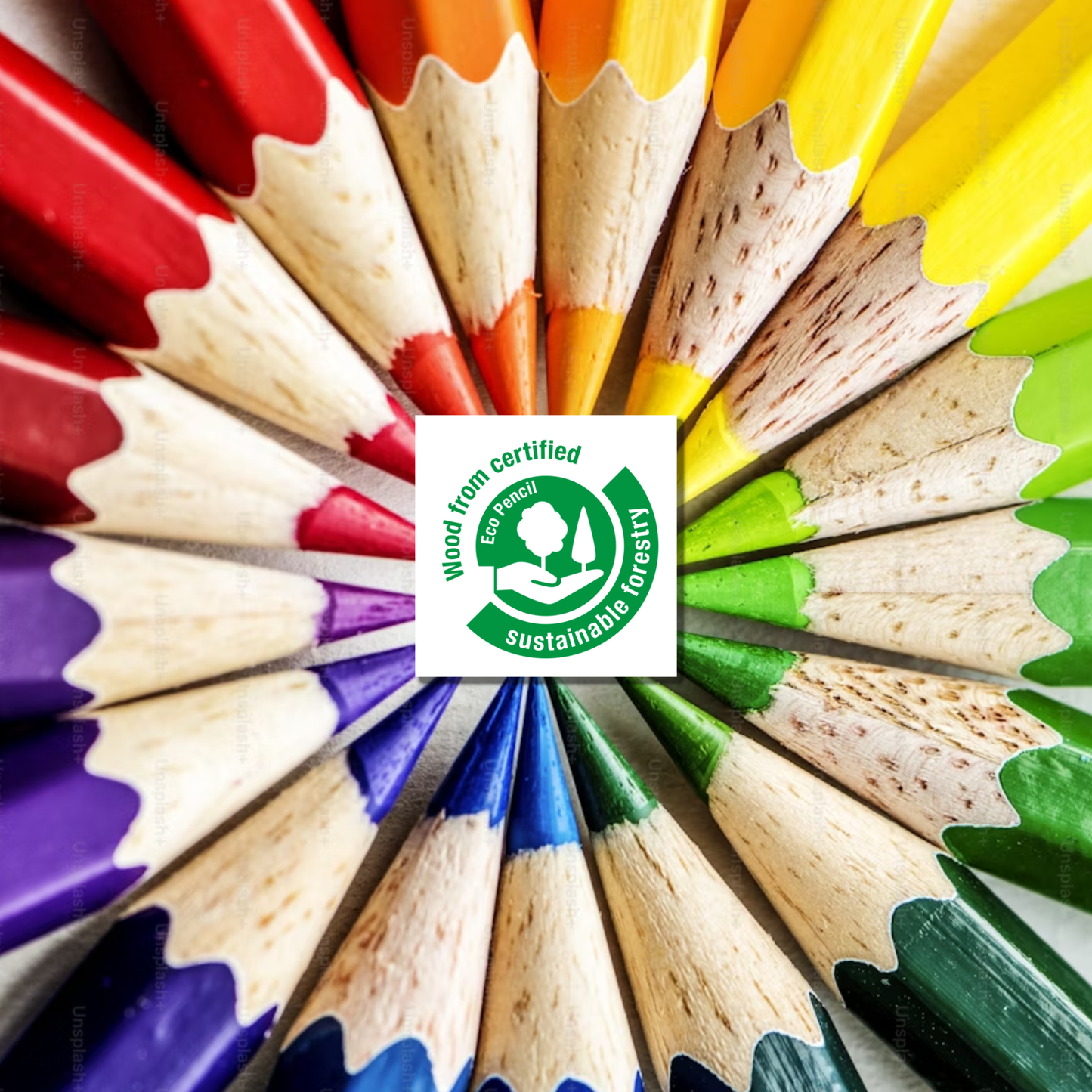 Colouring Bundle - 24 pencils & 2 colouring books