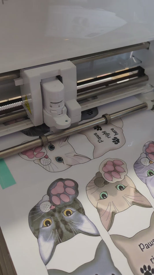 Magnetic Bookmark Toe Beans Collection.  White Cat.